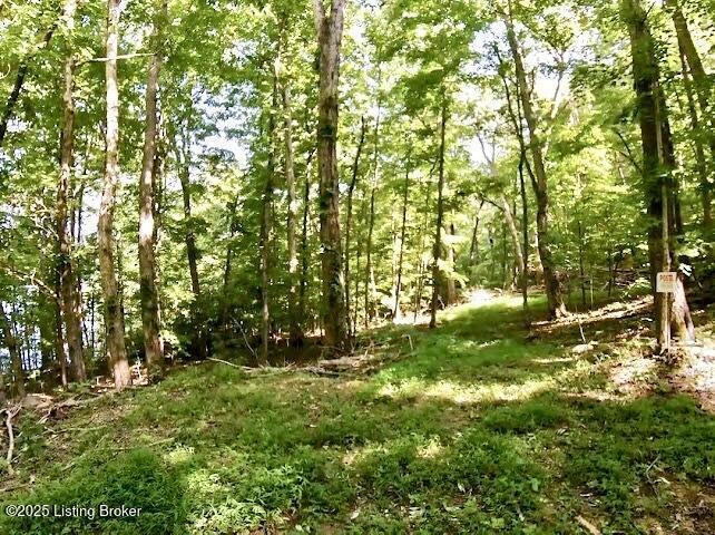 Property Photo: 2344 Dickeys Mill Rd KY 42259