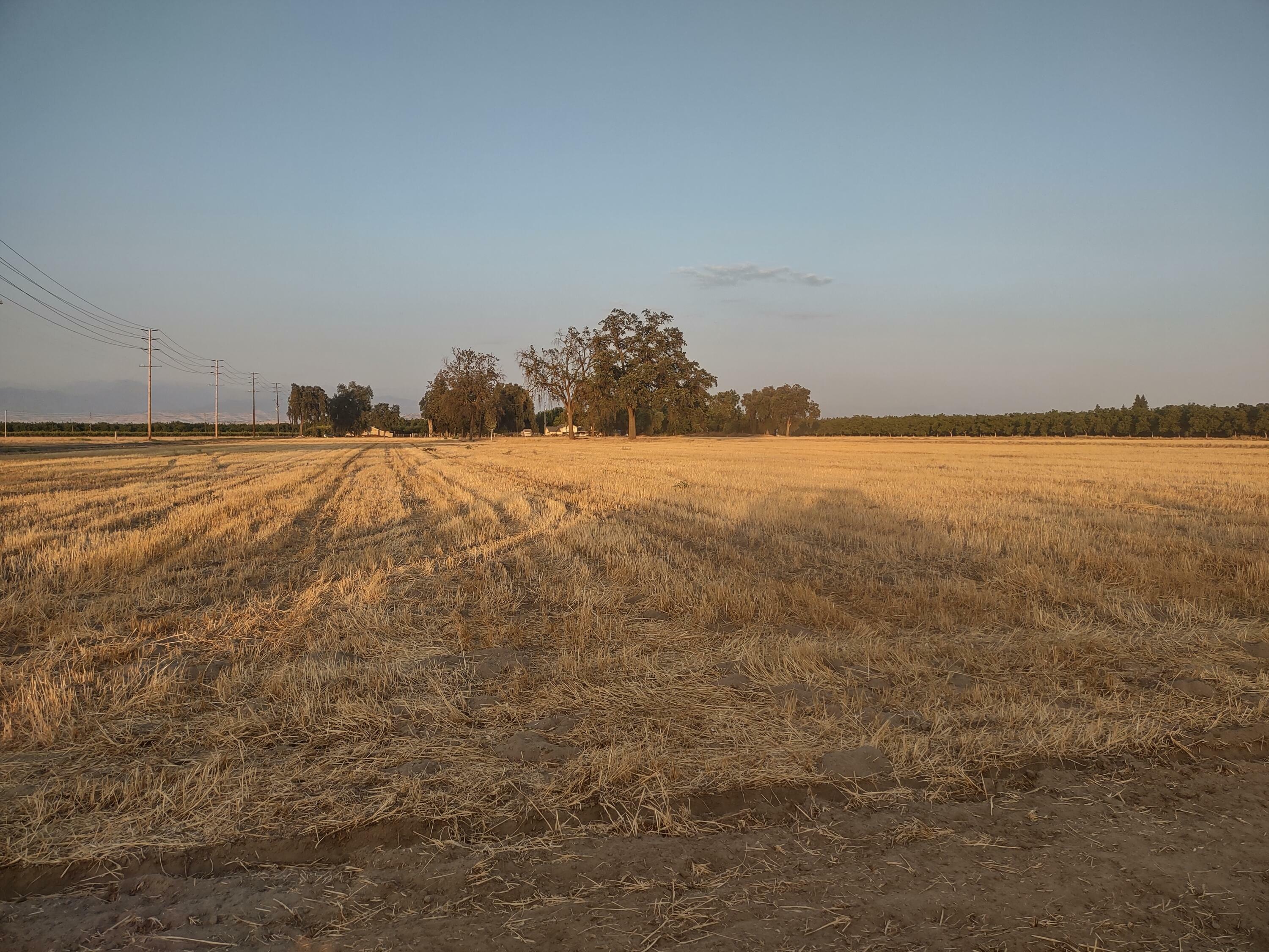 Lovers Lane  Visalia CA 93292 photo