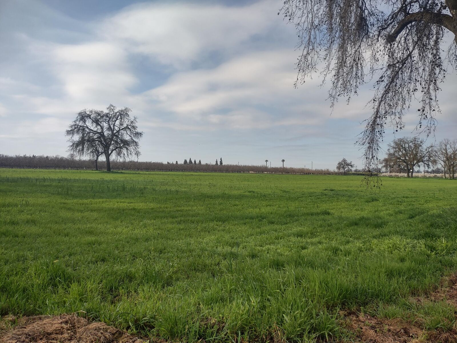 Property Photo:  Lovers Lane  CA 93292 