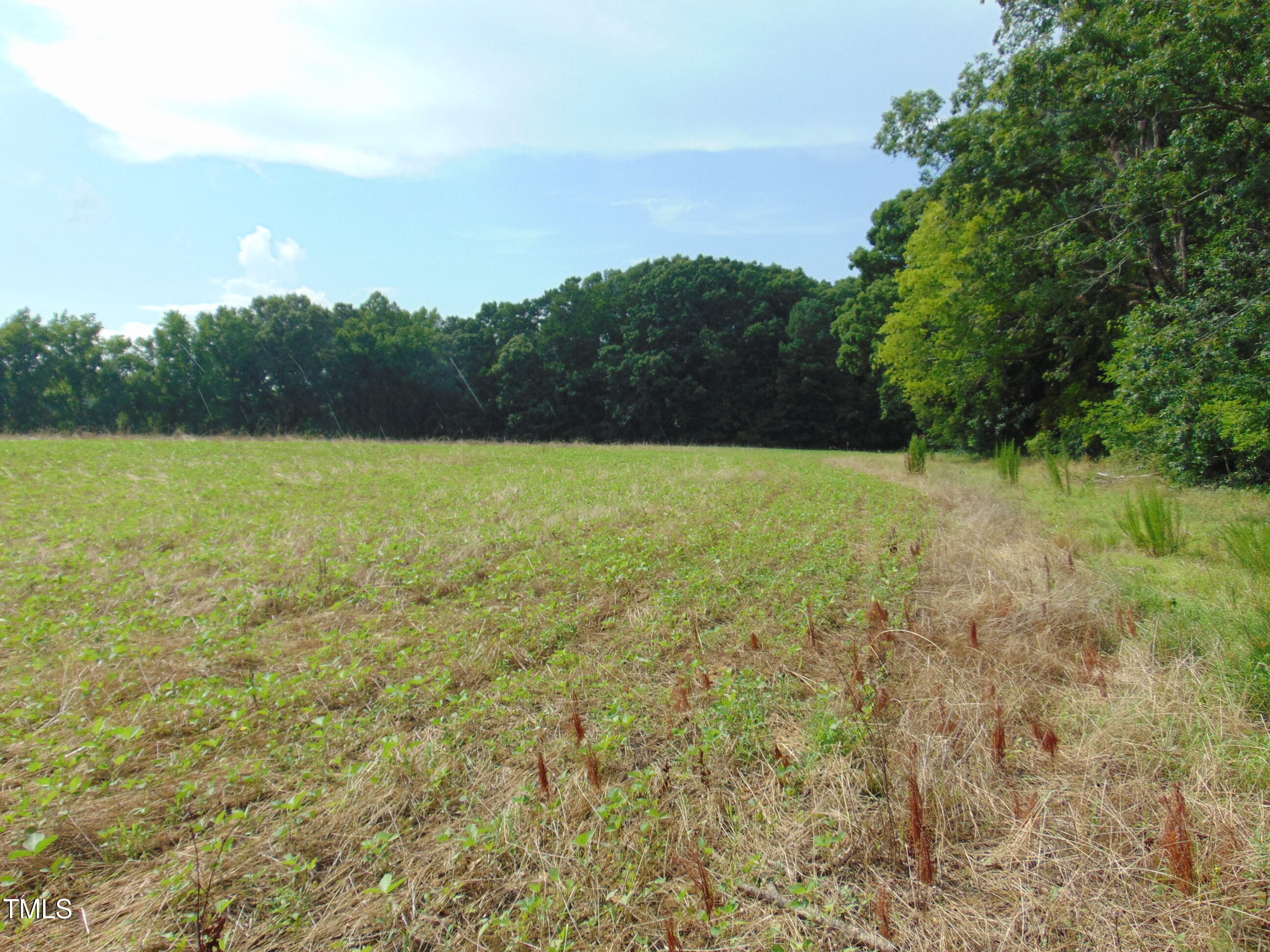 Property Photo: 00 Epps Fork Road VA 23927