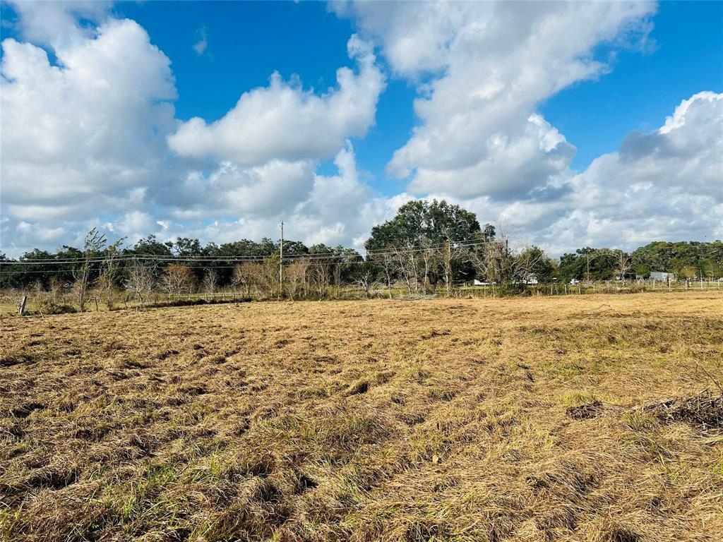 Property Photo: 0-10 Acres County Road 219 Road TX 77515