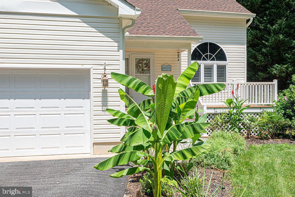 Property Photo: 21 Birdnest Drive MD 21811