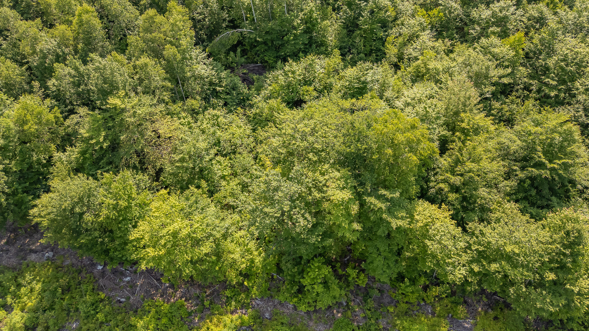 Property Photo:  M6l9-A34 Russell Road  ME 04414 