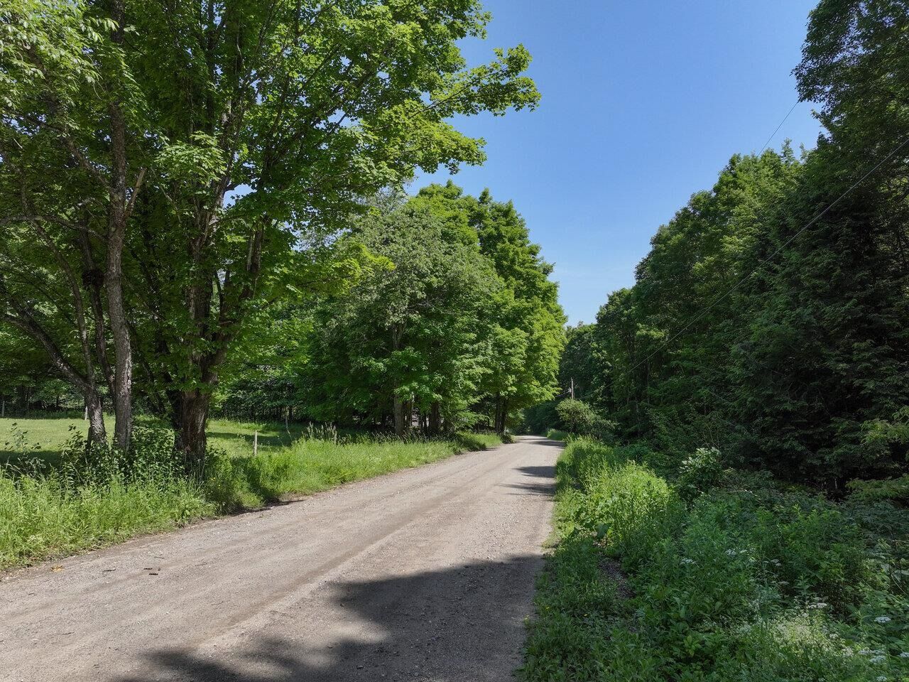 Property Photo: 000 Maxfield Road VT 05492