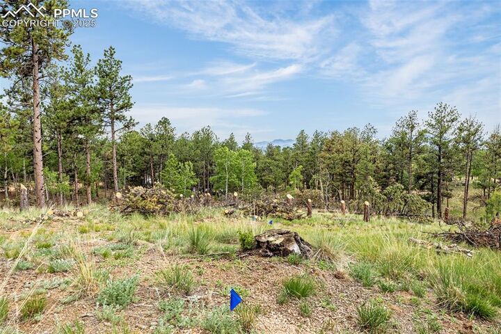 Property Photo:  77 Monarch Drive  CO 80816 