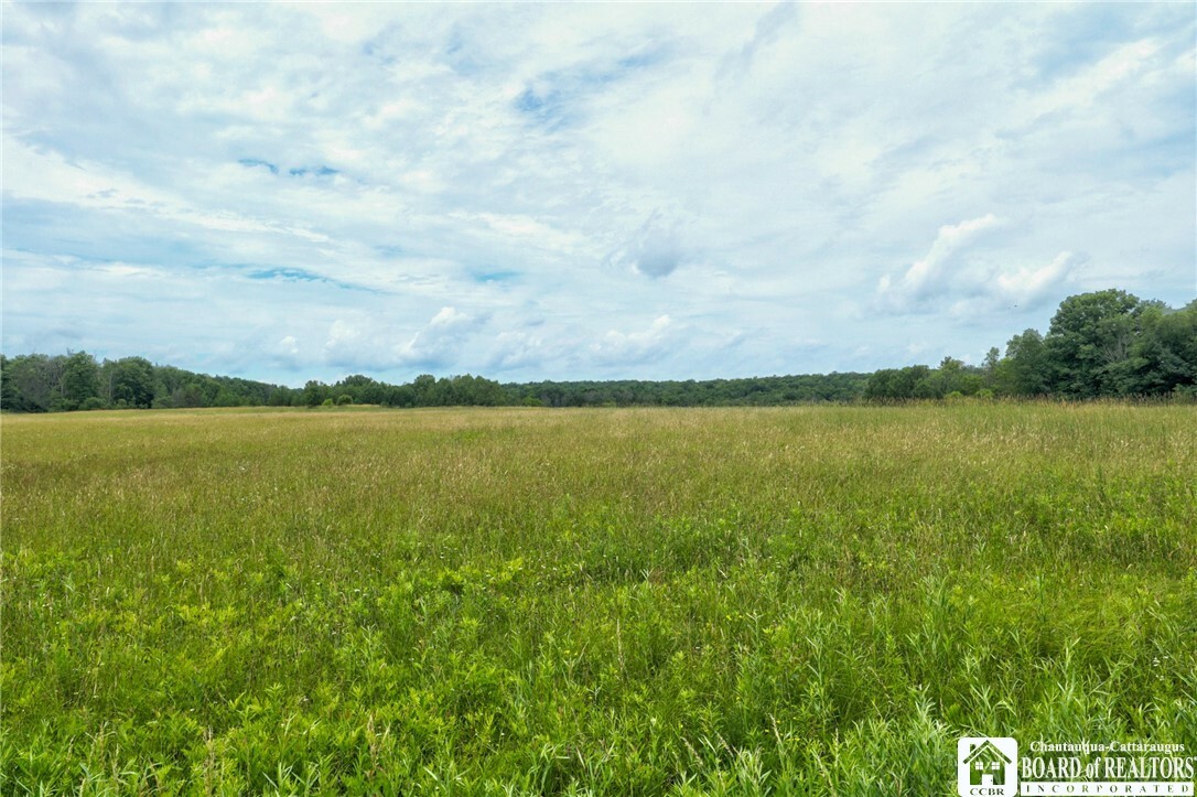 Property Photo:  0 Stow Road  NY 14710 