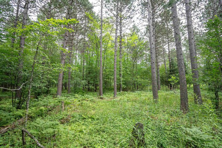 Property Photo:  51xx Lindahl Rd  MN 55811 