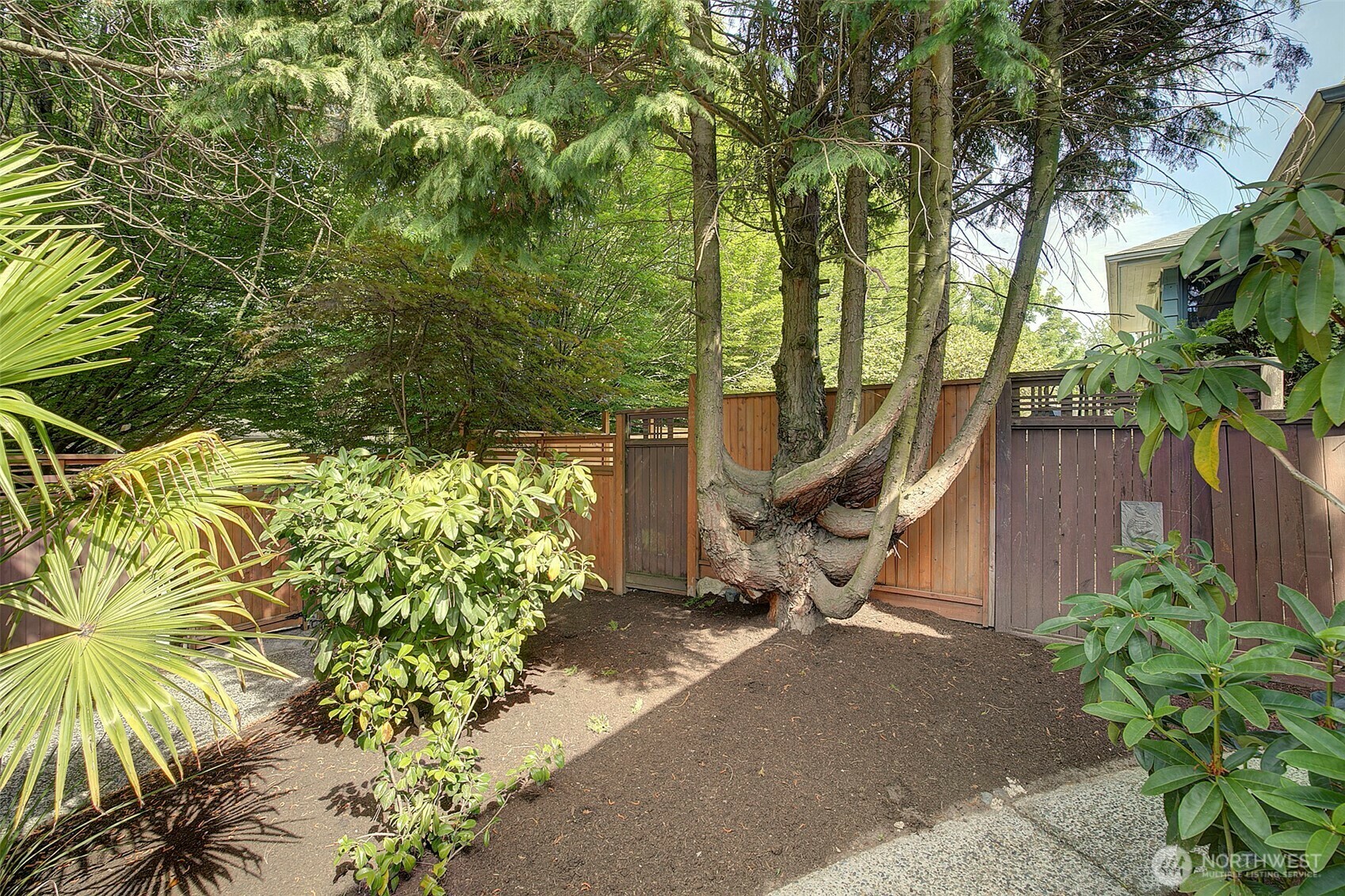 Property Photo:  8222  35th Avenue SW  WA 98126 
