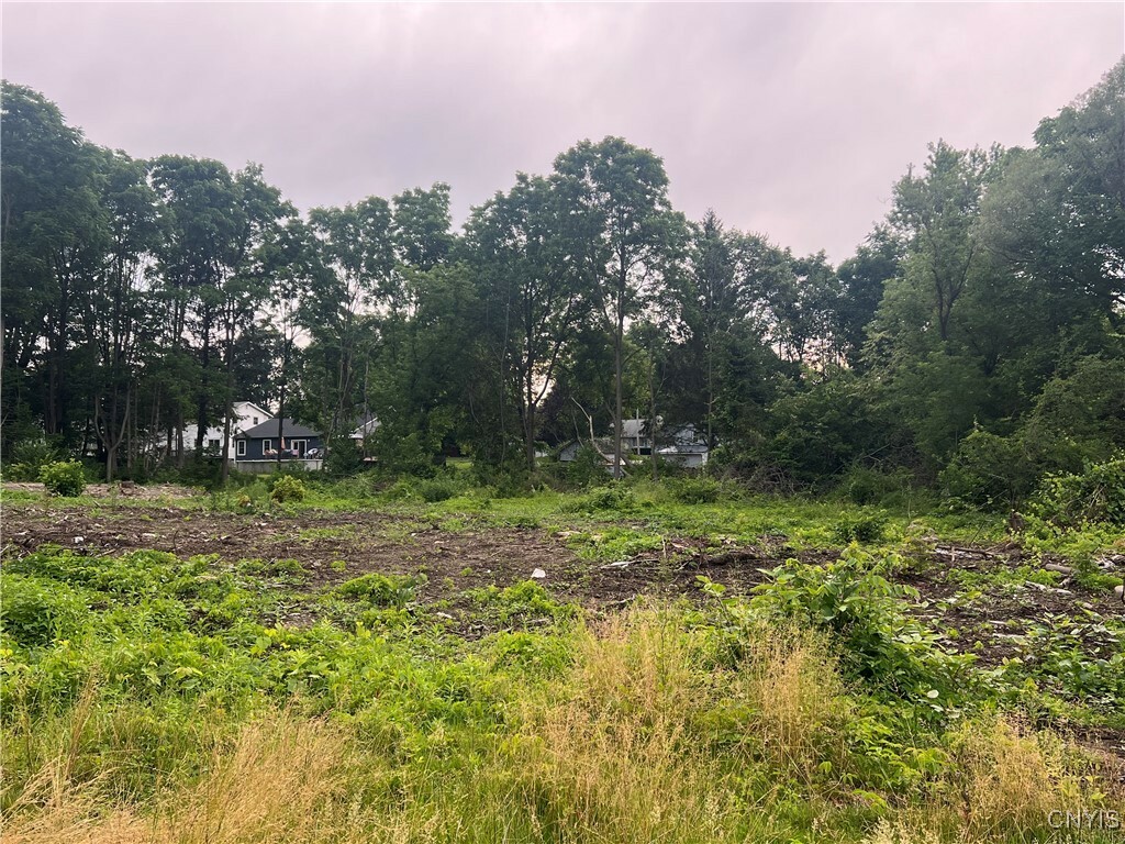 Property Photo: Franklin Street NY 13077