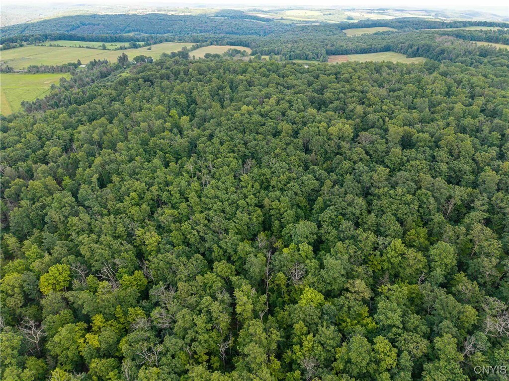 Property Photo: County Road 2 NY 14801