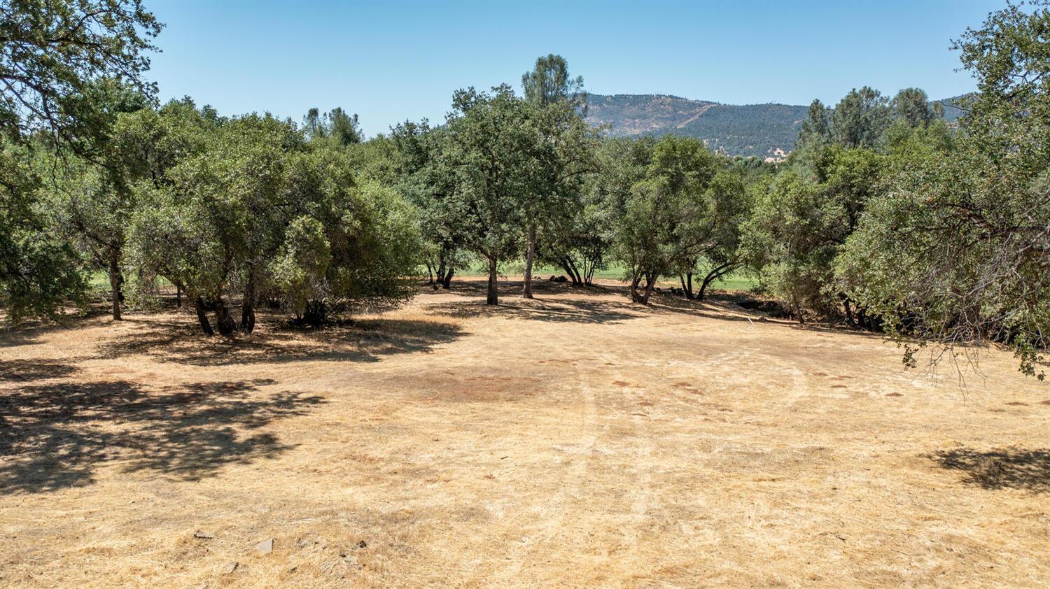 Property Photo: 255 Blair Mine Road CA 95222