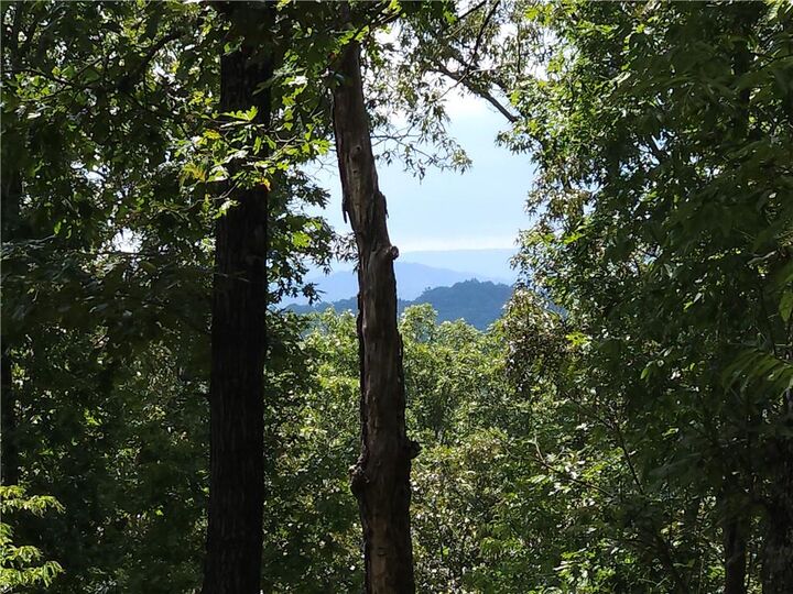 Property Photo:  101 Hothouse Drive  GA 30559 