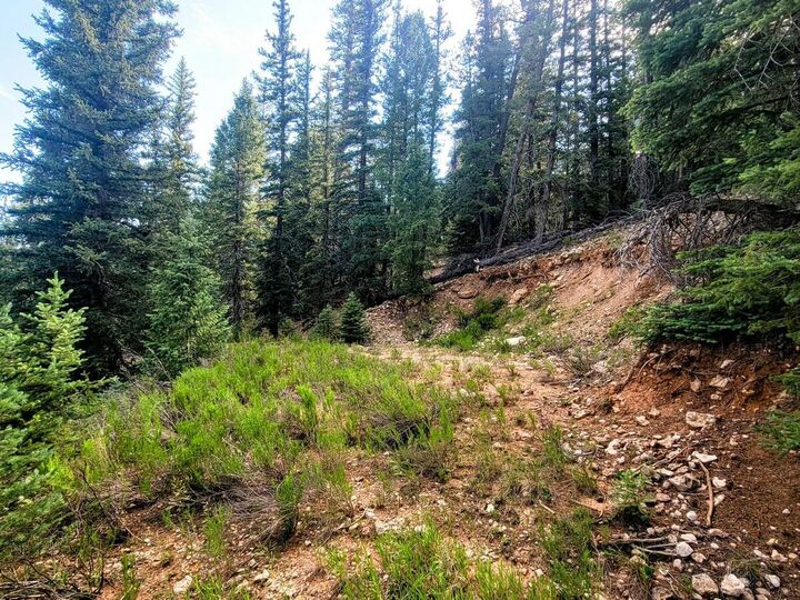 Property Photo:  770 N Skyline View Dr  UT 84762 