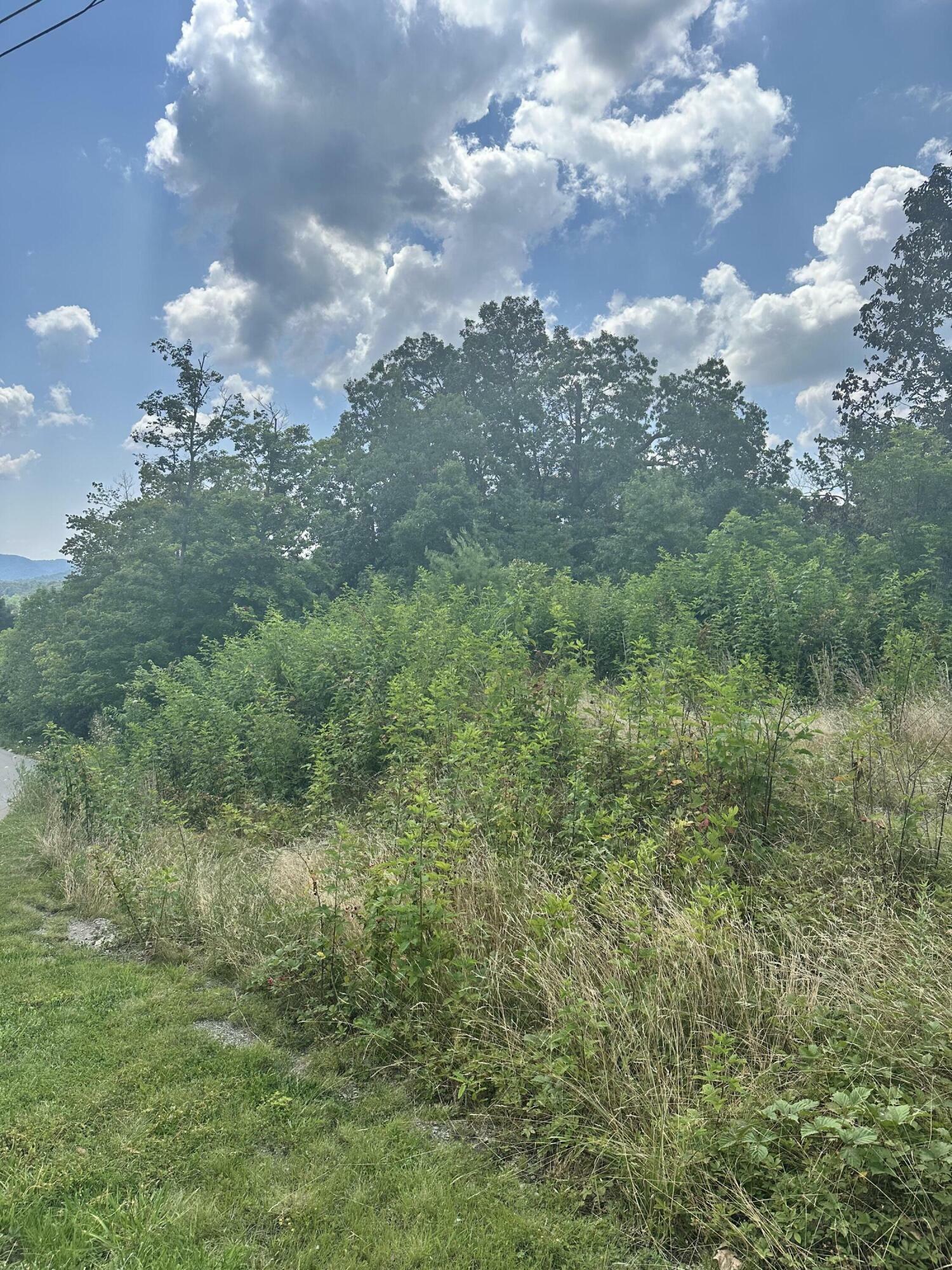 Property Photo: 373 Forest Trail Drive KY 40403