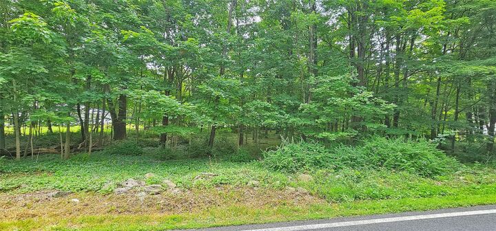 South Plank Road  Westtown NY 10998 photo