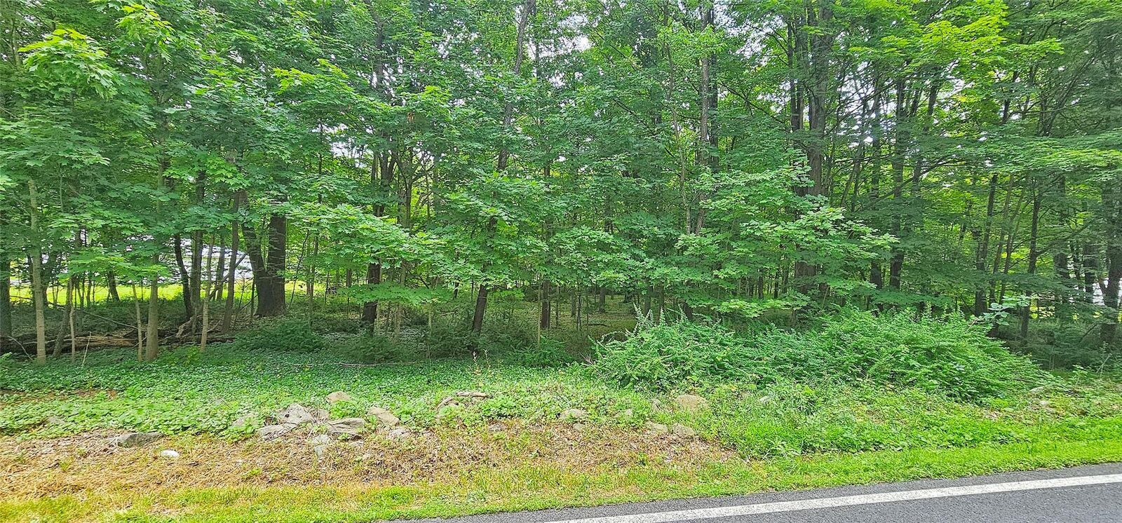 Property Photo:  South Plank Road  NY 10998