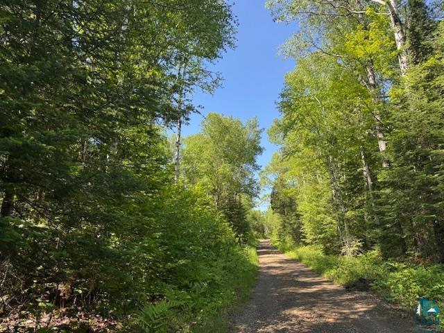 305 Irish Creek Rd  Hovland MN 55606 photo