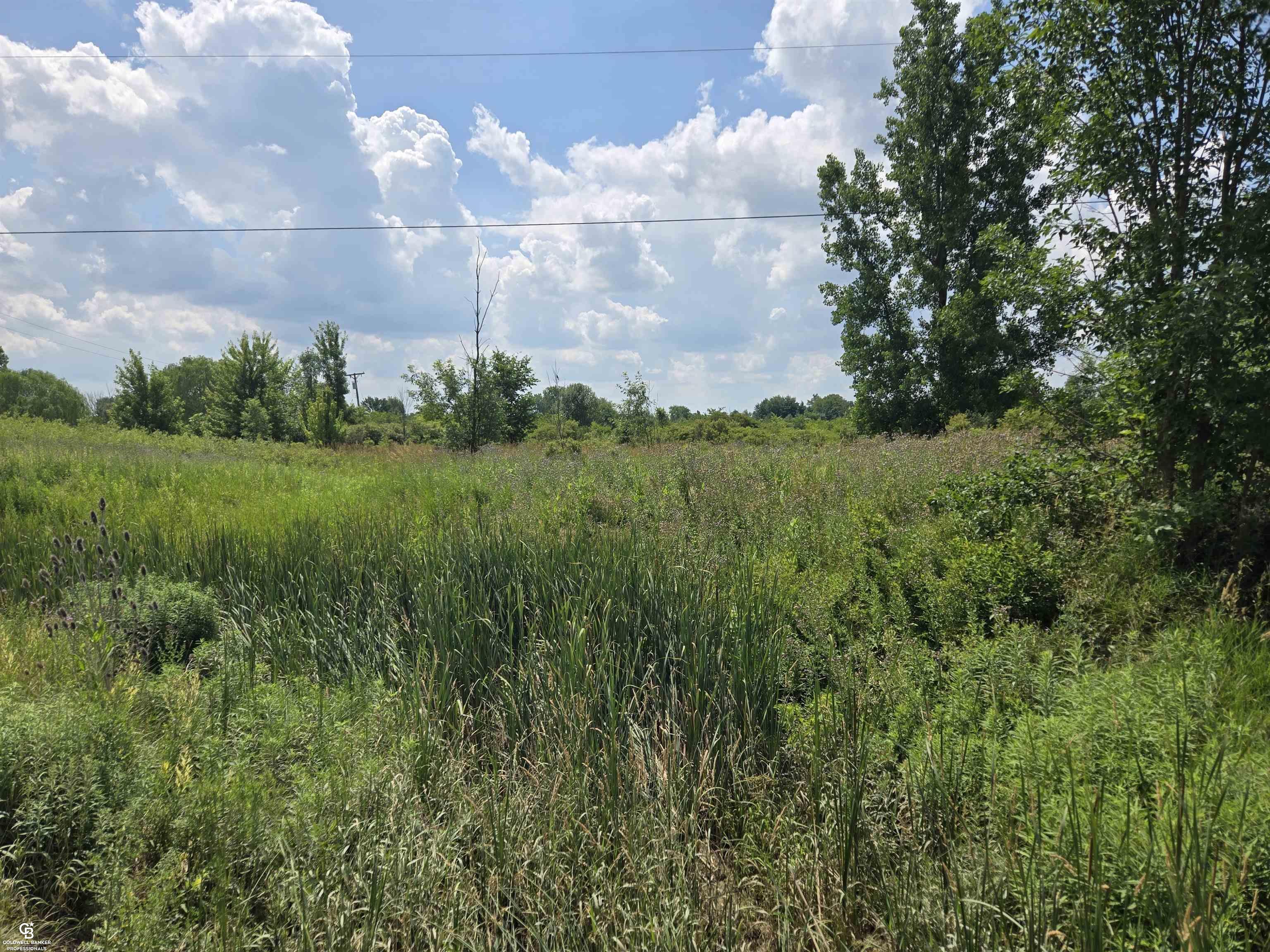 11547 Burt Road  Riley MI 48041 photo