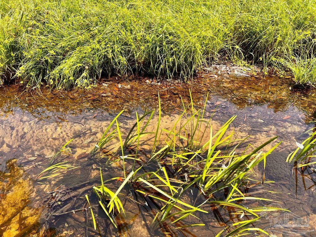 Lot 95 Turning Leaf Rd  North Pace FL 32571 photo