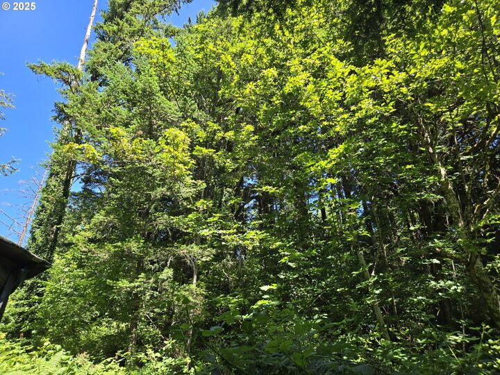 Property Photo: 1225 SW Ryan Allen Rd WA 98648