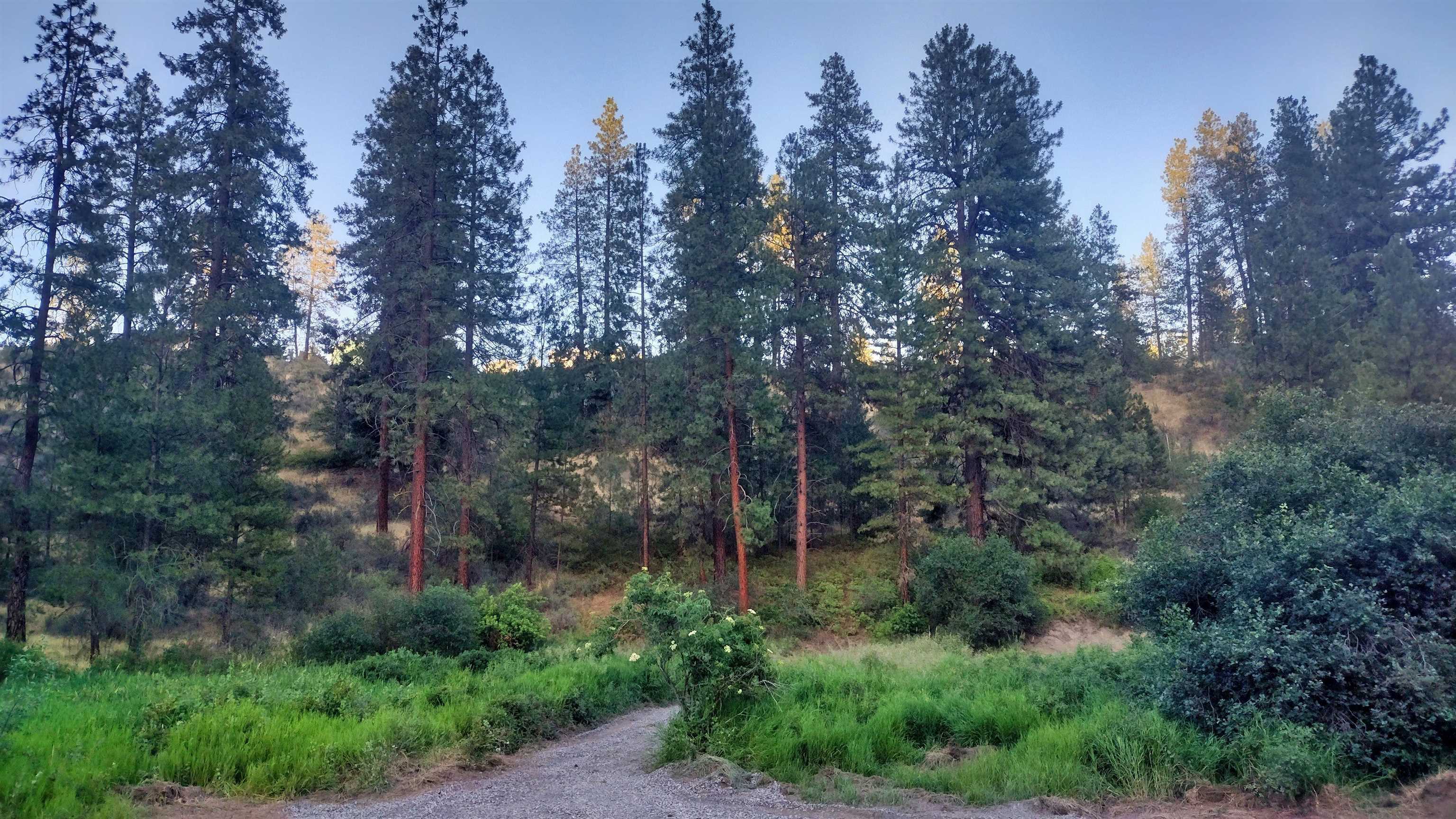 Property Photo: 38010 Redwine Canyon Rd N Rd WA 99147