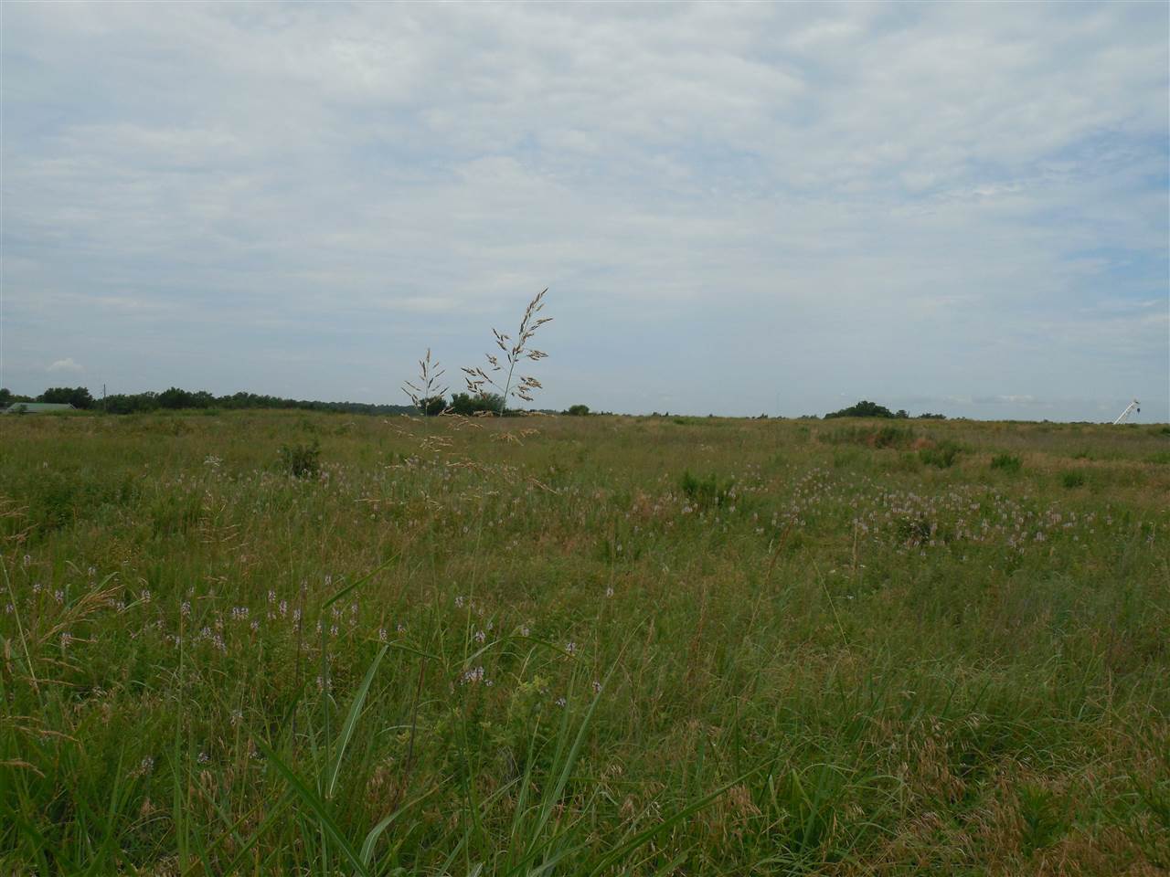 Property Photo:  S Rose Road Tract 3  OK 74074 