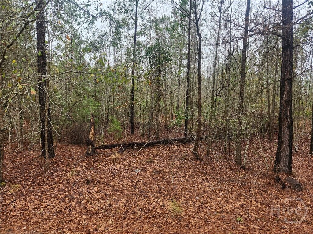 Property Photo:  351 S Poplar Street  GA 31321 