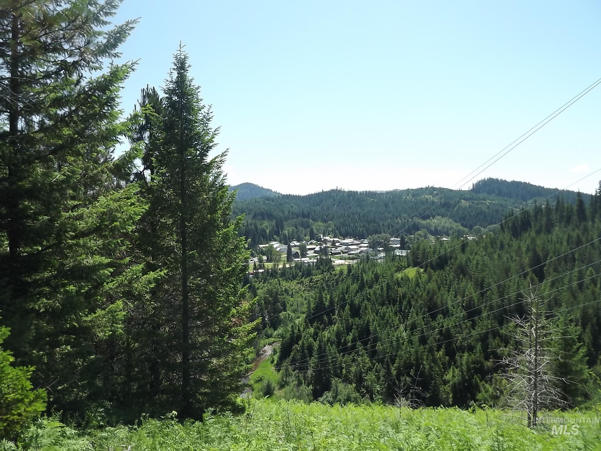 Tbd Hwy 11  Pierce ID 83546 photo