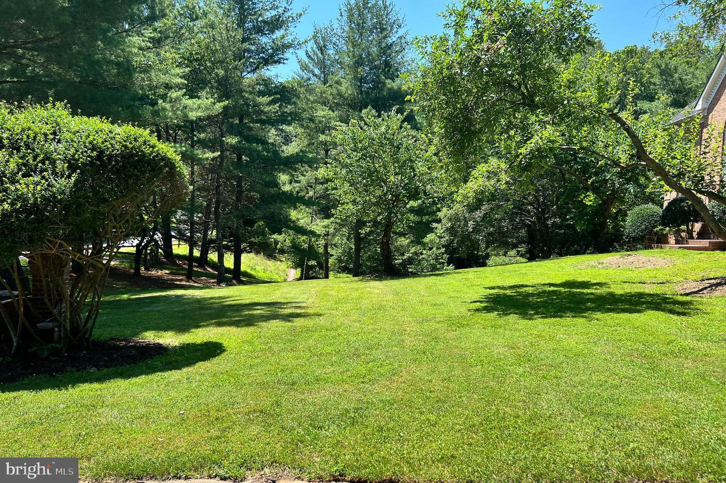 Property Photo:  250 Golden Woods Court  VA 22066 