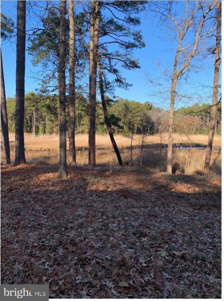 36357 Fir Drive  Rehoboth Beach DE 19971 photo