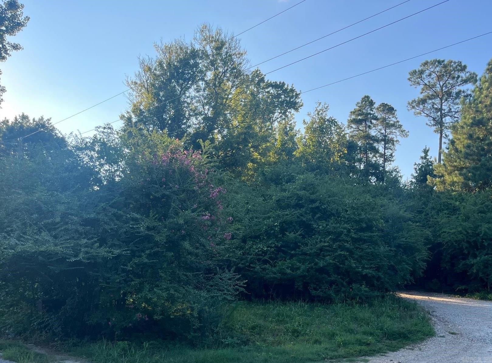 Property Photo: 20 Acres Perry Road AR 72011