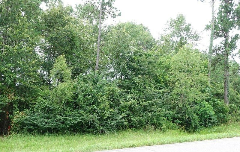Property Photo: 1249 Fm 326 TX 75901