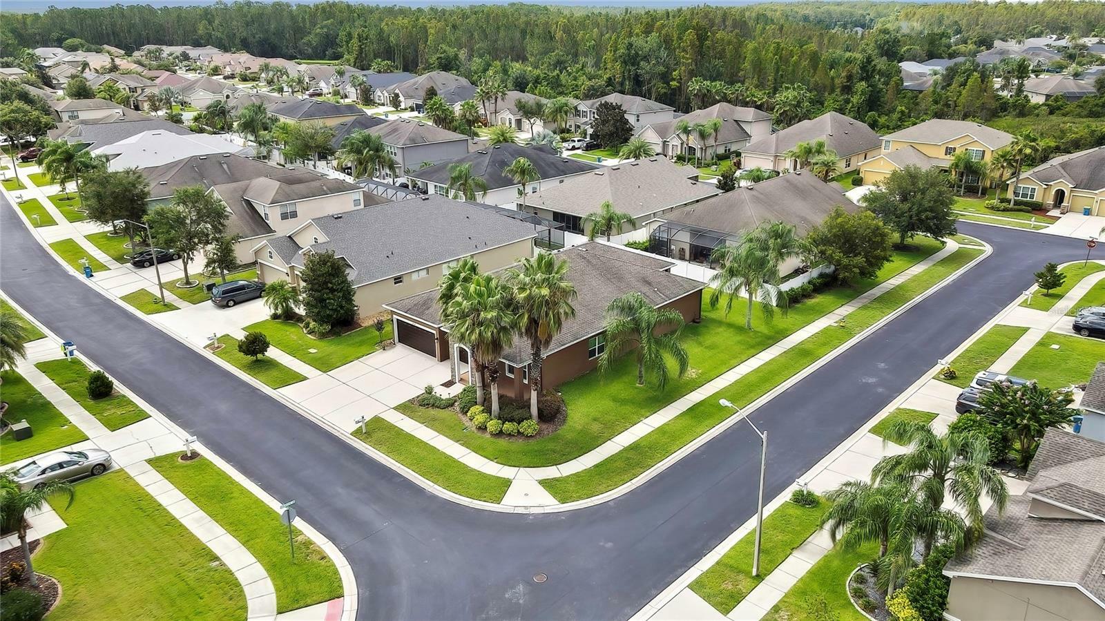 Property Photo: 31518 Bearded Oak Drive FL 33543