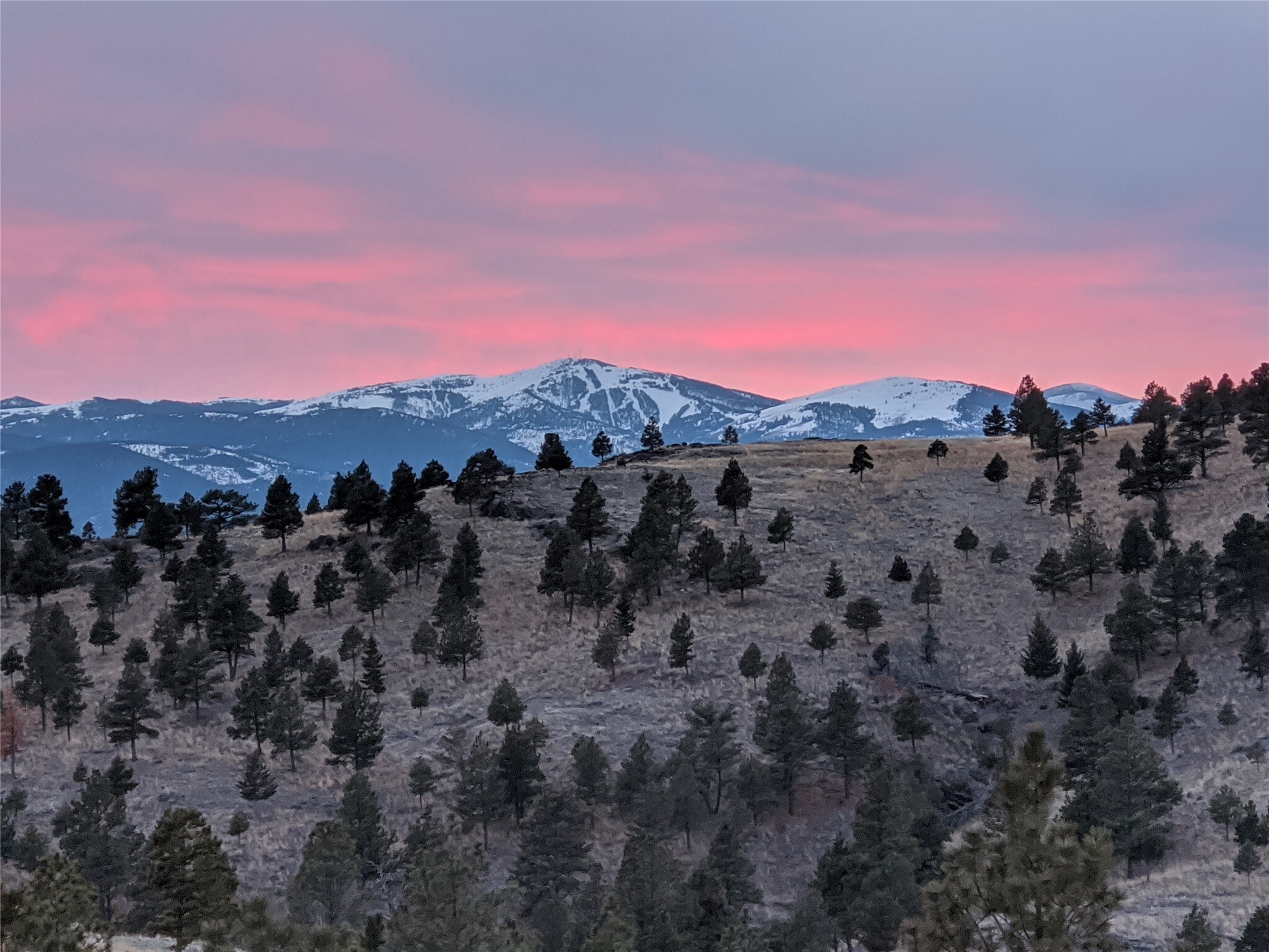 Property Photo: 9100 Lafond Drive MT 59602