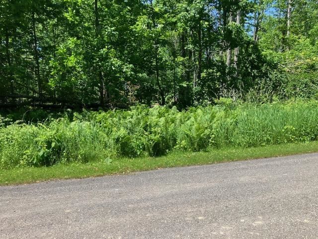 Property Photo:  Tbd Maple Isle Court Unit 34  MI 49706 
