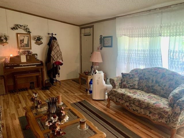 Property Photo: 7755 M32 East MI 49751