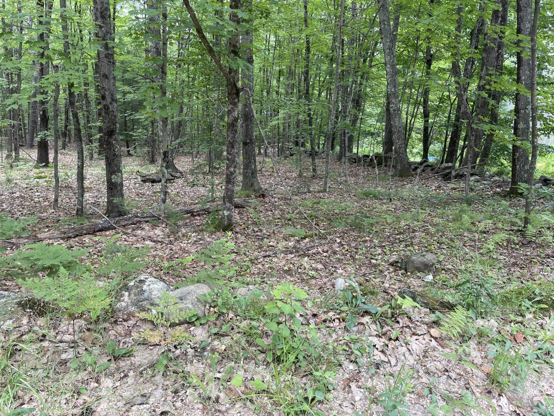 Property Photo: 956 N Barnstead Road NH 03225
