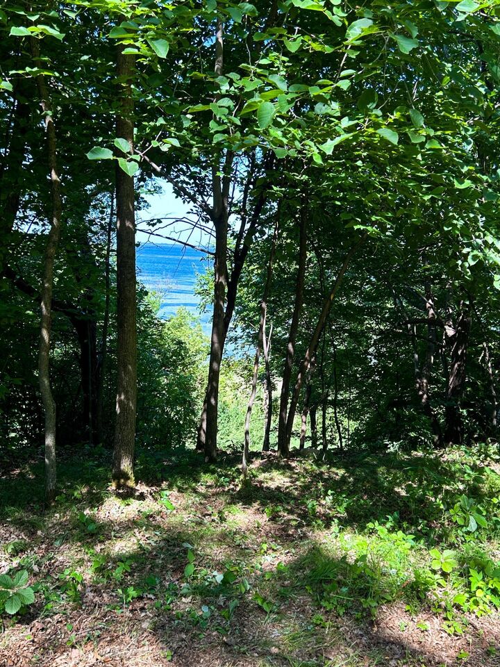 Property Photo:  49137 360th Street  MN 56567 