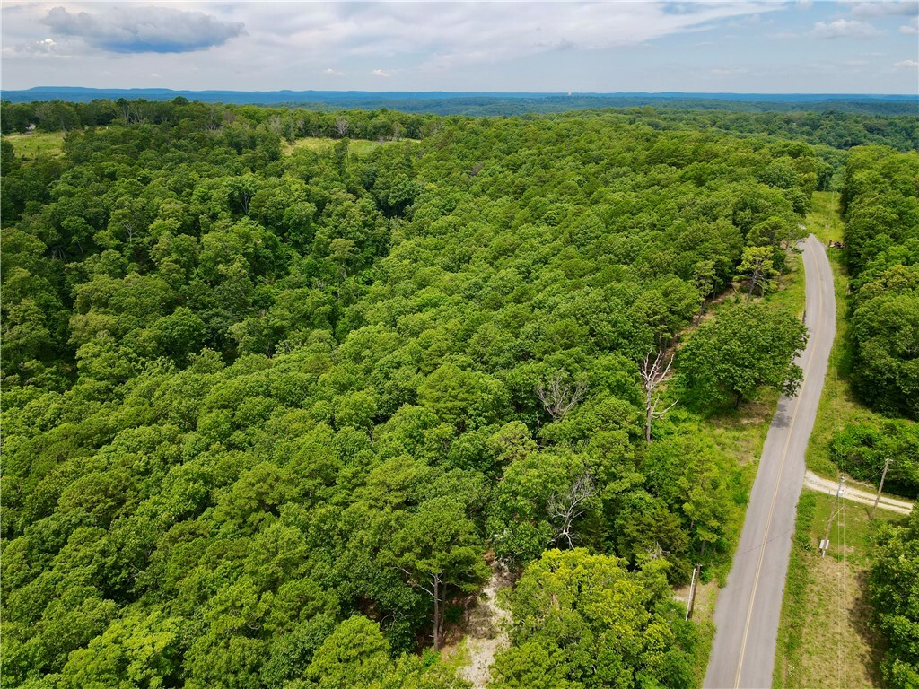 Property Photo: 3990 Cr-207 AR 72632