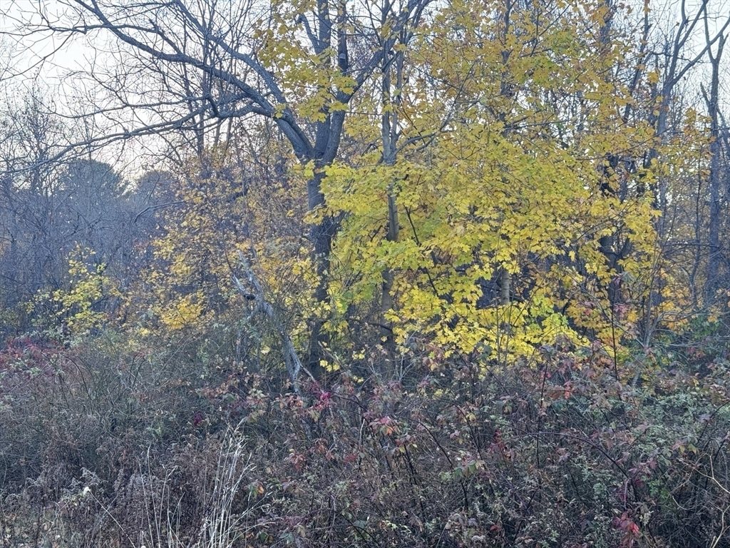 Property Photo: Lot 3 Lawler Ln MA 02072