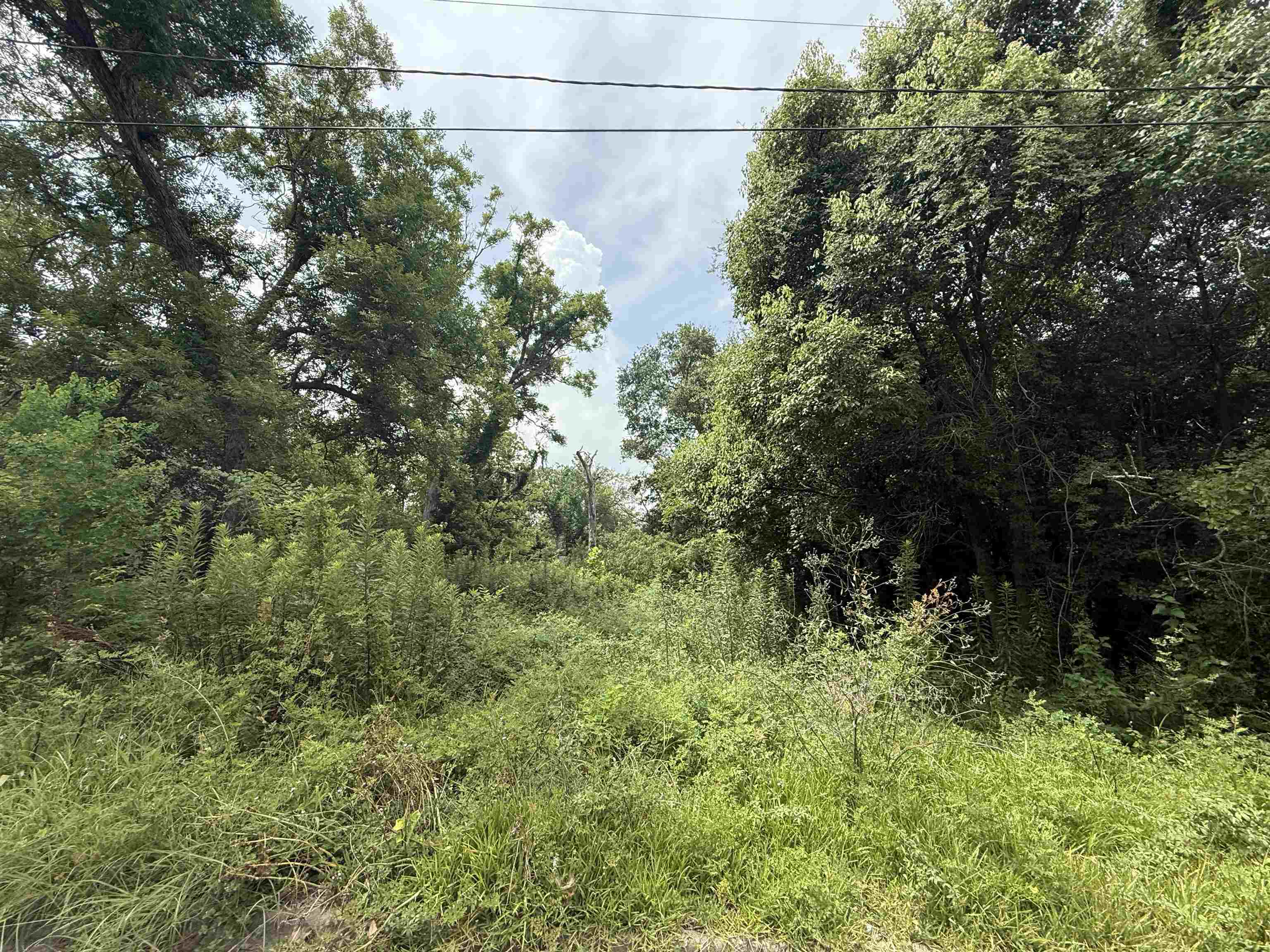 Property Photo: 1209 W Orange TX 77630