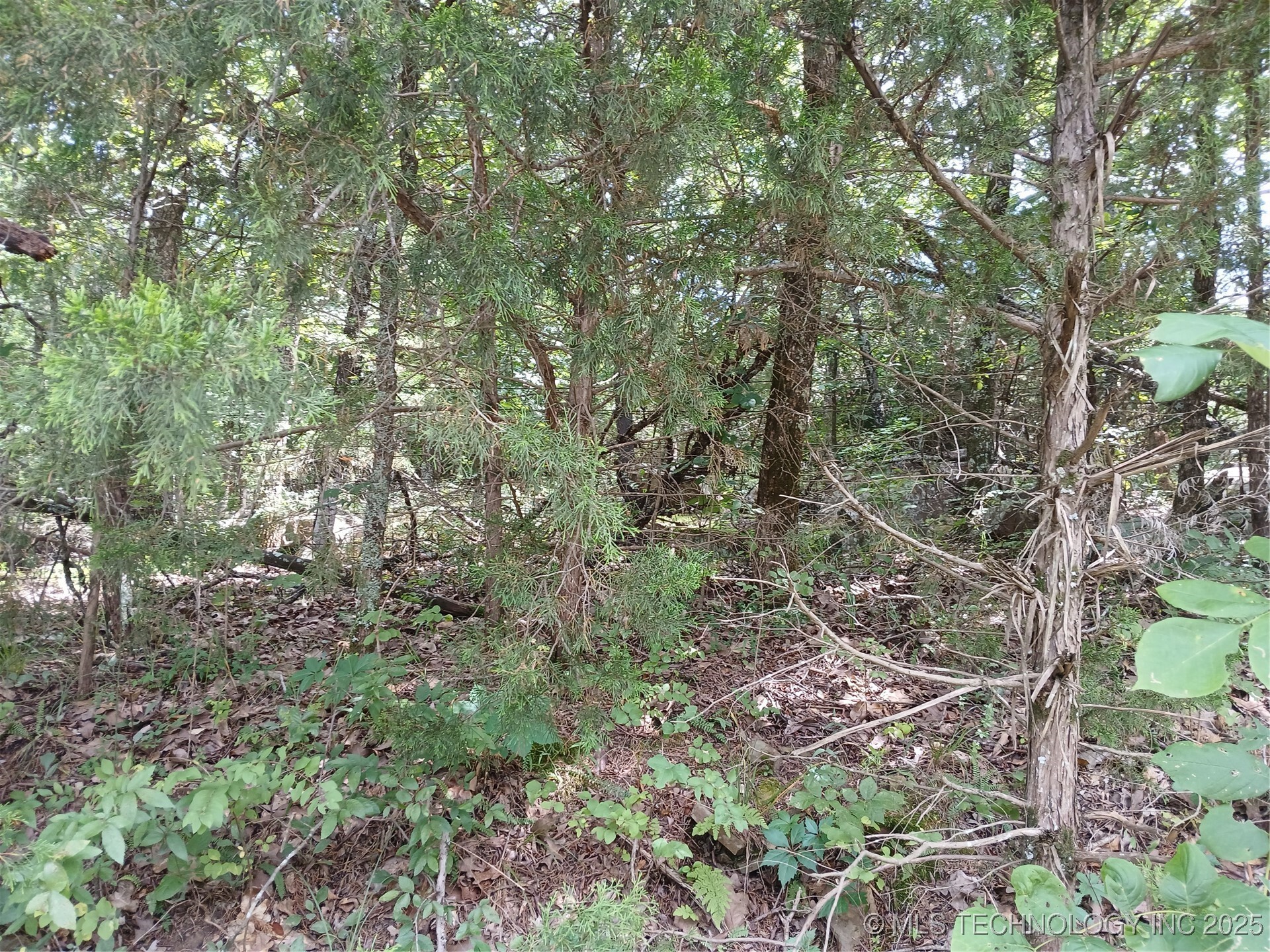 Property Photo: Finch OK 74501
