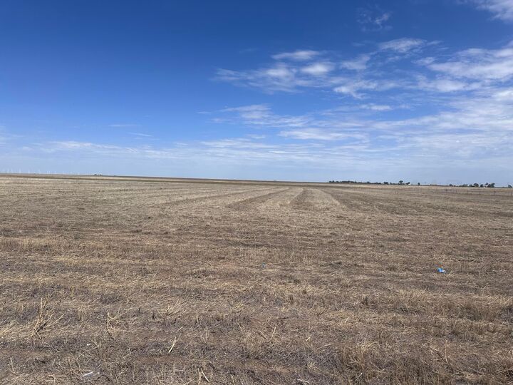 Property Photo: Fm 2587 TX 79098