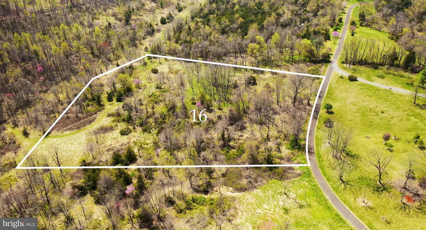 Property Photo: Lot 16 Hawthorne Drive VA 22733