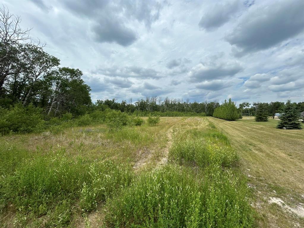 Property Photo:  29 Colbert Place  MB R0E 0M0 