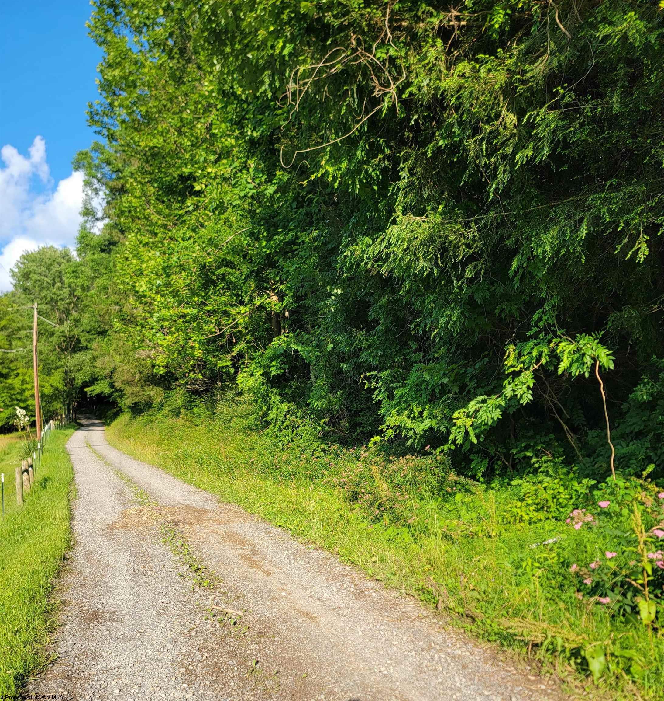 0 Criss Run Road  Philippi WV 26416 photo