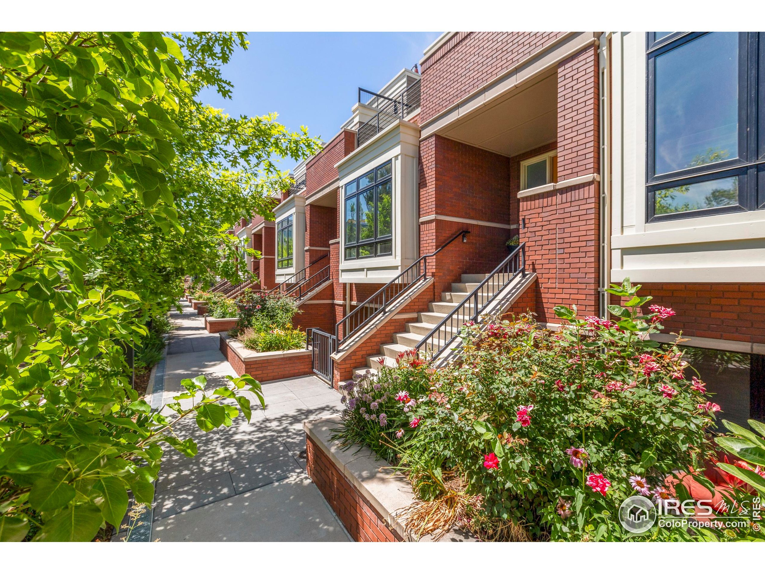 Property Photo:  311 N Howes St  CO 80521 