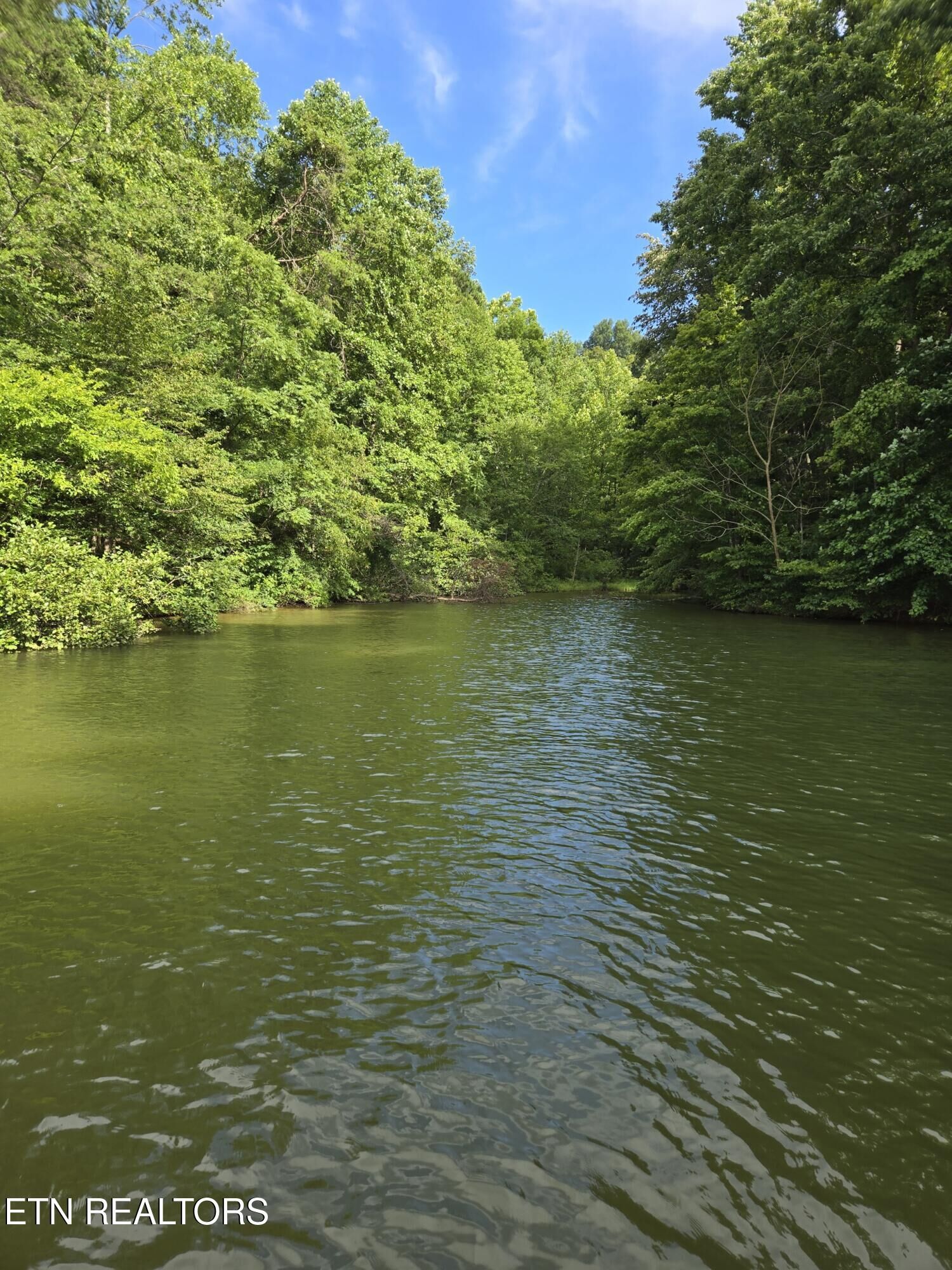 Property Photo:  Soak Rd  TN 37354 