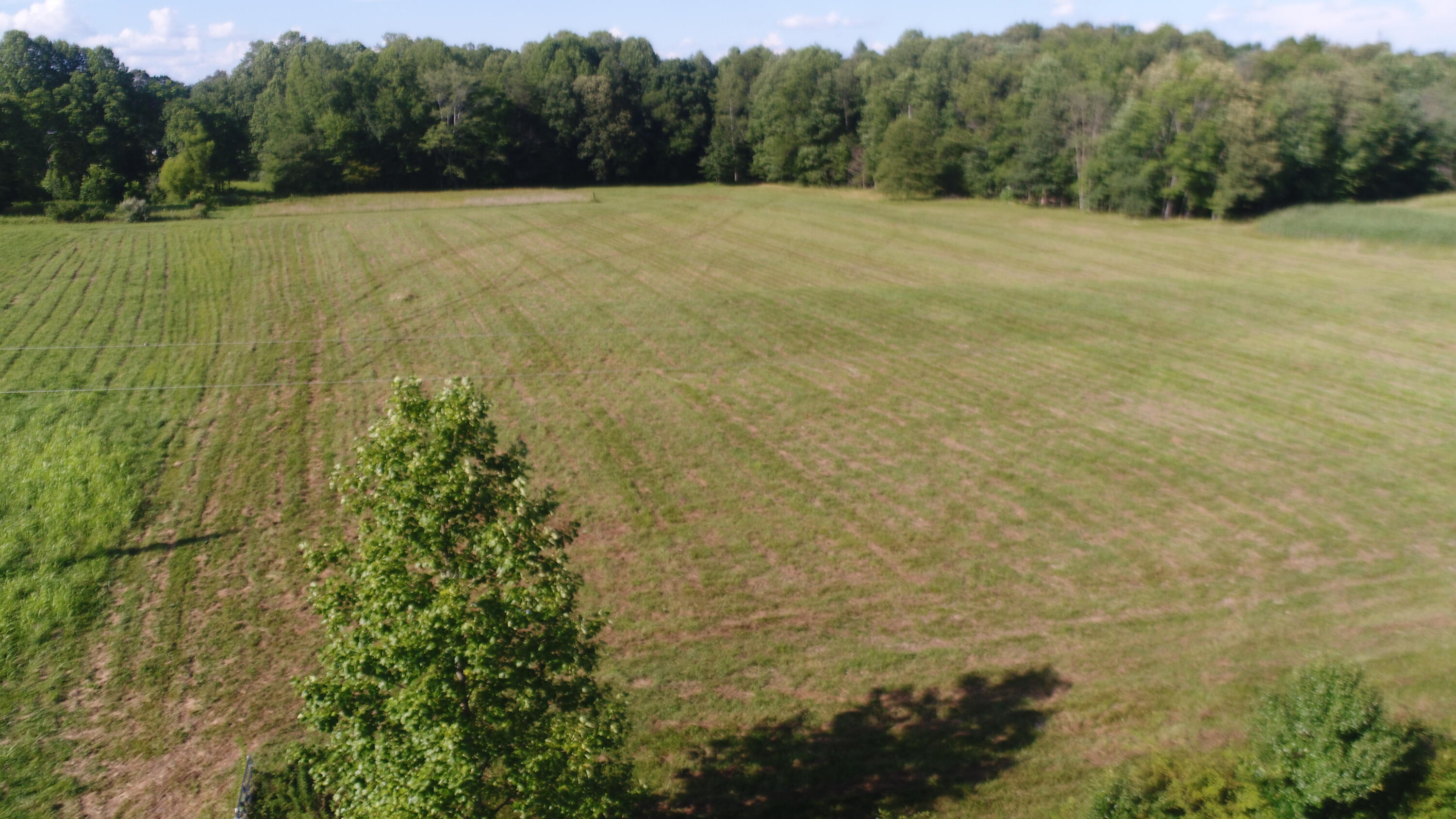 Property Photo: 579 Singleton Road KY 42567