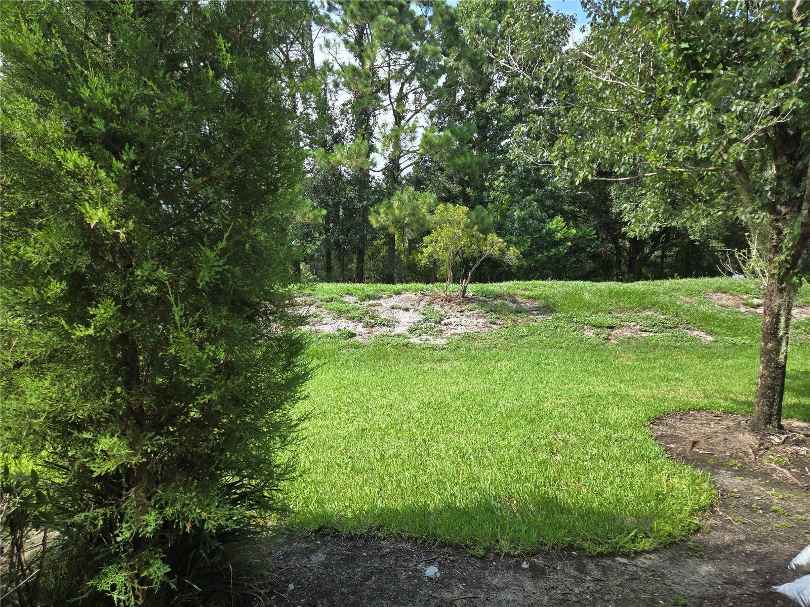 Property Photo: 1908 Garden Sage Drive FL 32765